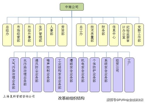 子公司長不大，總部又成了空殼子 某高科技企業(yè)技術(shù)服務(wù)型子公司的管理困境